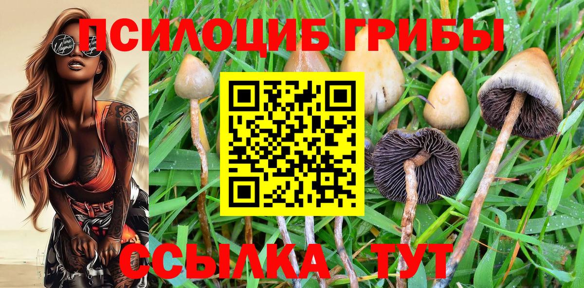 Псилоцибиновые грибы GOLDEN TEACHER Калуга